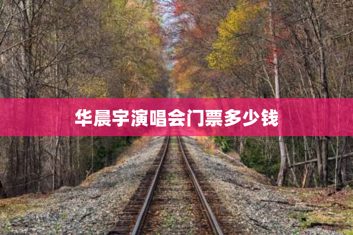 华晨宇演唱会门票多少钱 华晨宇演唱会门票380和680区别？