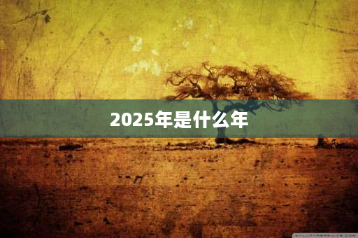 2025年是什么年 2025年是怎么样的一年？