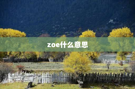 zoe什么意思 zoe什么意思？