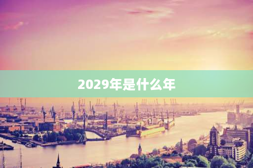 2029年是什么年 2029年干支是什么年？