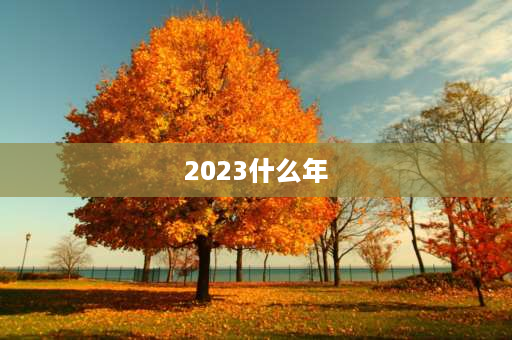 2023什么年 2023，是什么年？