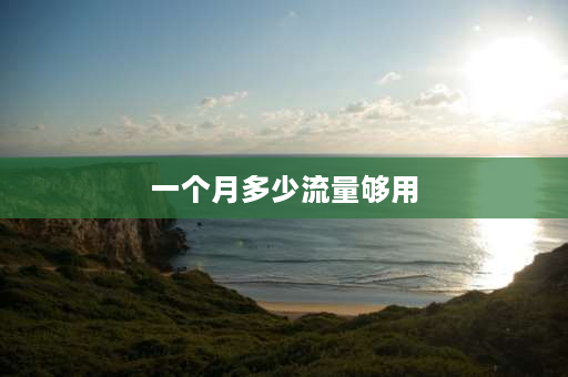 一个月多少流量够用 5000g流量一个月够用吗？