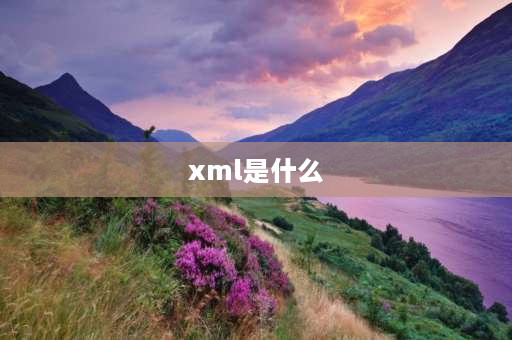 xml是什么 XML是什么文件？