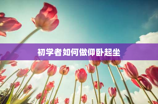 初学者如何做仰卧起坐 没人帮你压腿，应该怎么做仰卧起坐？