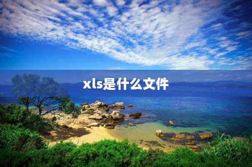 xls是什么文件 Excel工作簿文件的格式是什么？