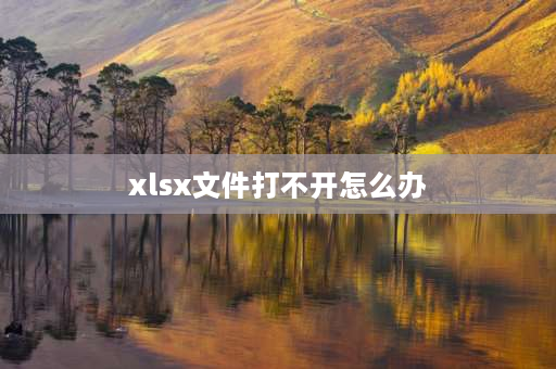 xlsx文件打不开怎么办 xlsx怎么显示不了功能？