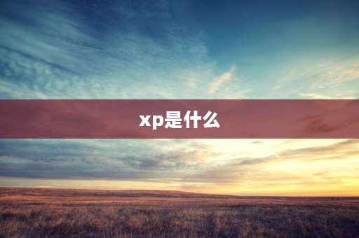 xp是什么 xp是什么意思？