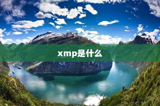 xmp是什么 xmp是什么意思？