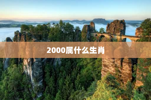 2000属什么生肖 2000年是哪一年属什么？