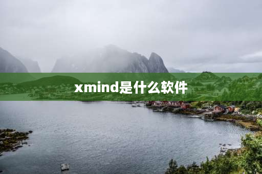 xmind是什么软件 xmind用什么软件？