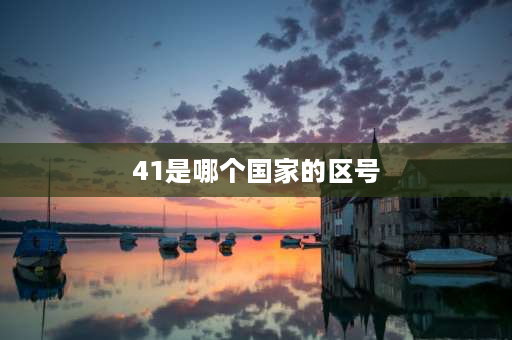 41是哪个国家的区号 21是哪个城市的区号？