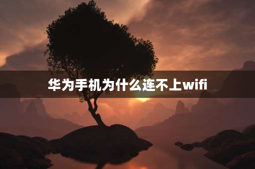 华为手机为什么连不上wifi 华为手机为什么连不上wifi什么都不能用？