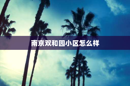 南京双和园小区怎么样 南京市建邺区双和园房价多少钱一平米？