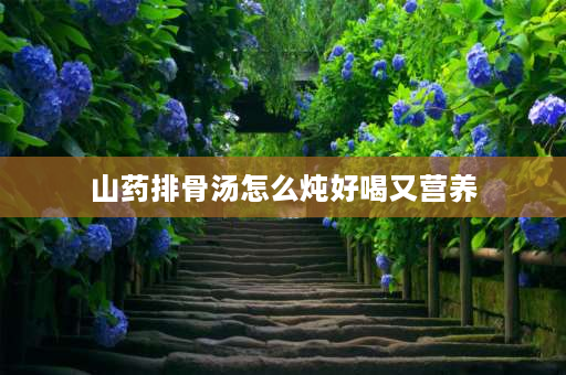 山药排骨汤怎么炖好喝又营养 铁棍山药炖汤的做法？