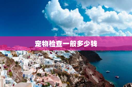 宠物检查一般多少钱 宠物医院可以检测狗狗有狂犬病么？一次多少钱？