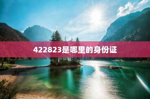 422823是哪里的身份证 4299是哪的身份证？