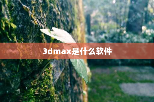 3dmax是什么软件 max3d和3d有什么区别？