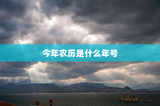 今年农历是什么年号 2022年的天干地支年号是啥？