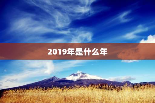 2019年是什么年 2019年是什么年代？