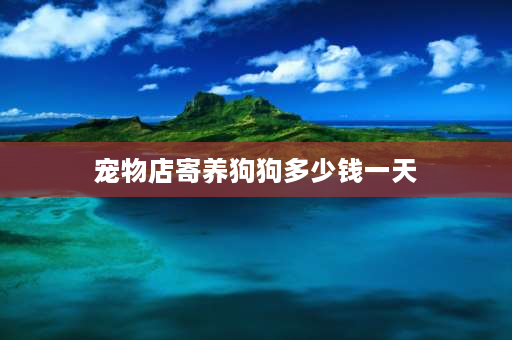 宠物店寄养狗狗多少钱一天 宠物寄养一天多少钱？