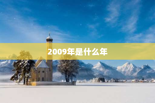 2009年是什么年 2009年是润年吗？有多少个月？