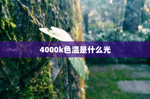 4000k色温是什么光 3800k暖白光灯4000k暖白光区别？