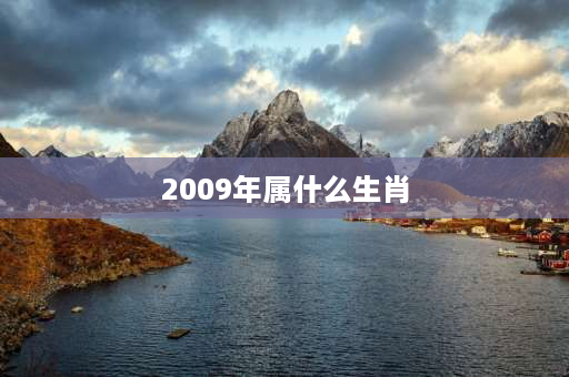 2009年属什么生肖 2009年出生是什么猴？