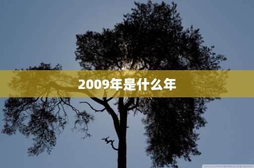 2009年是什么年 2009年是癸卯年吗？