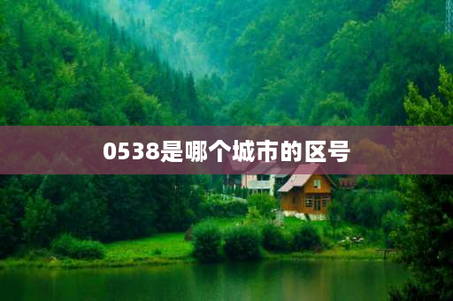 0538是哪个城市的区号 053是哪个省区号？