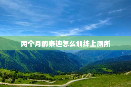 两个月的泰迪怎么训练上厕所 两个月泰迪设置几个上厕所地点？