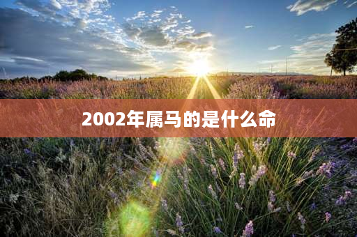 2002年属马的是什么命 2002年是什么年天干地支？