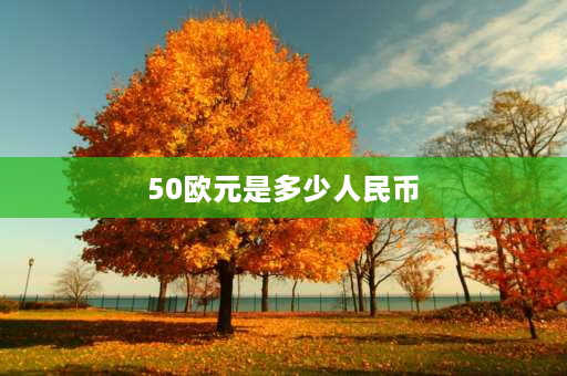 50欧元是多少人民币 90年代500欧元等于多少人民币？