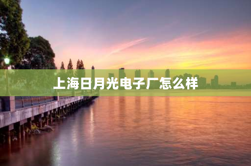 上海日月光电子厂怎么样 上海哪里买锂电池电芯？