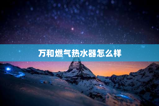 万和燃气热水器怎么样 万和的燃气热水器怎么样？请用过的大侠给点意见？