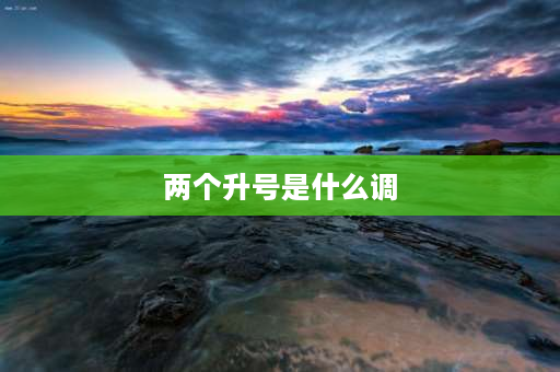 两个升号是什么调 谱子前面升降号个数分别代表什么？