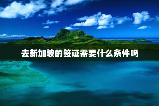 去新加坡的签证需要什么条件吗 去新加坡旅游是免签国还是落地签？