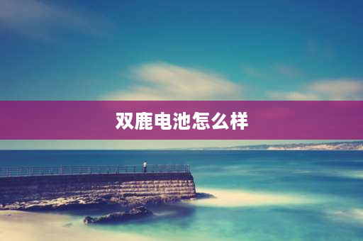 双鹿电池怎么样 双鹿电池比南孚电池好用吗？