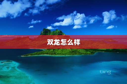 双龙怎么样 双龙集团有限公司怎么样？