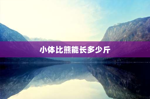 小体比熊能长多少斤 比熊能长多少斤属正常？