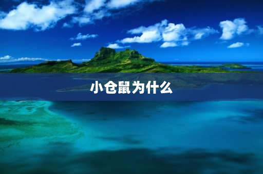 小仓鼠为什么 小仓鼠为什么焦躁不安到处乱跑？