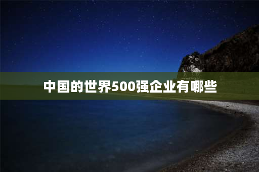 中国的世界500强企业有哪些 世界500强的中国国有企业排名？