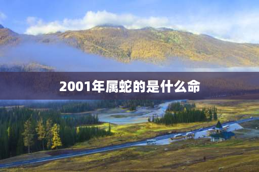 2001年属蛇的是什么命 01年属什么的？