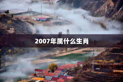 2007年属什么生肖 2007年阴历出生有哪些？