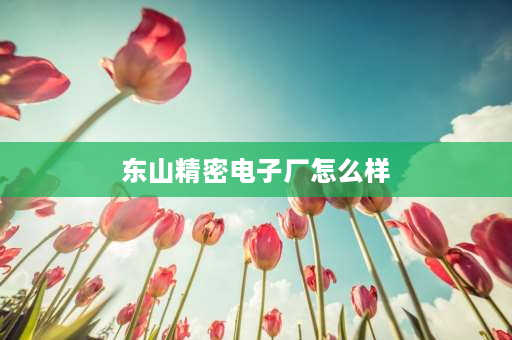 东山精密电子厂怎么样 苏州东山精密科技有限公司怎么样？