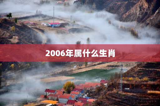 2006年属什么生肖 2005年是什么属相？