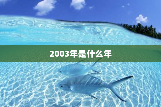 2003年是什么年 2003年羊年属相是什么？