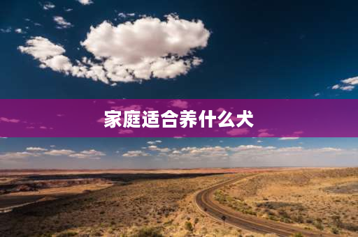 家庭适合养什么犬 想要个短毛不掉毛好养聪明温顺的小型犬常见的品种推荐一下？