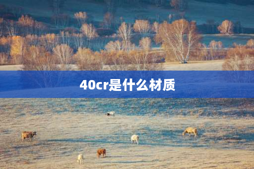 40cr是什么材质 40crmo属于什么钢？