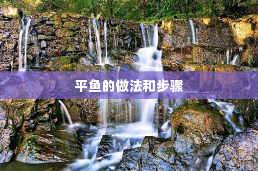 平鱼的做法和步骤 求教鱼的做法今天买了条松花鱼，哪位知道咋做？