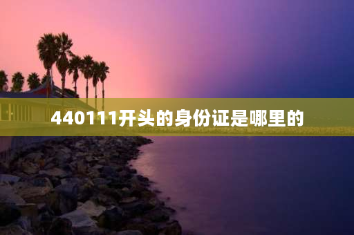 440111开头的身份证是哪里的 广州市的户口代码是多少？